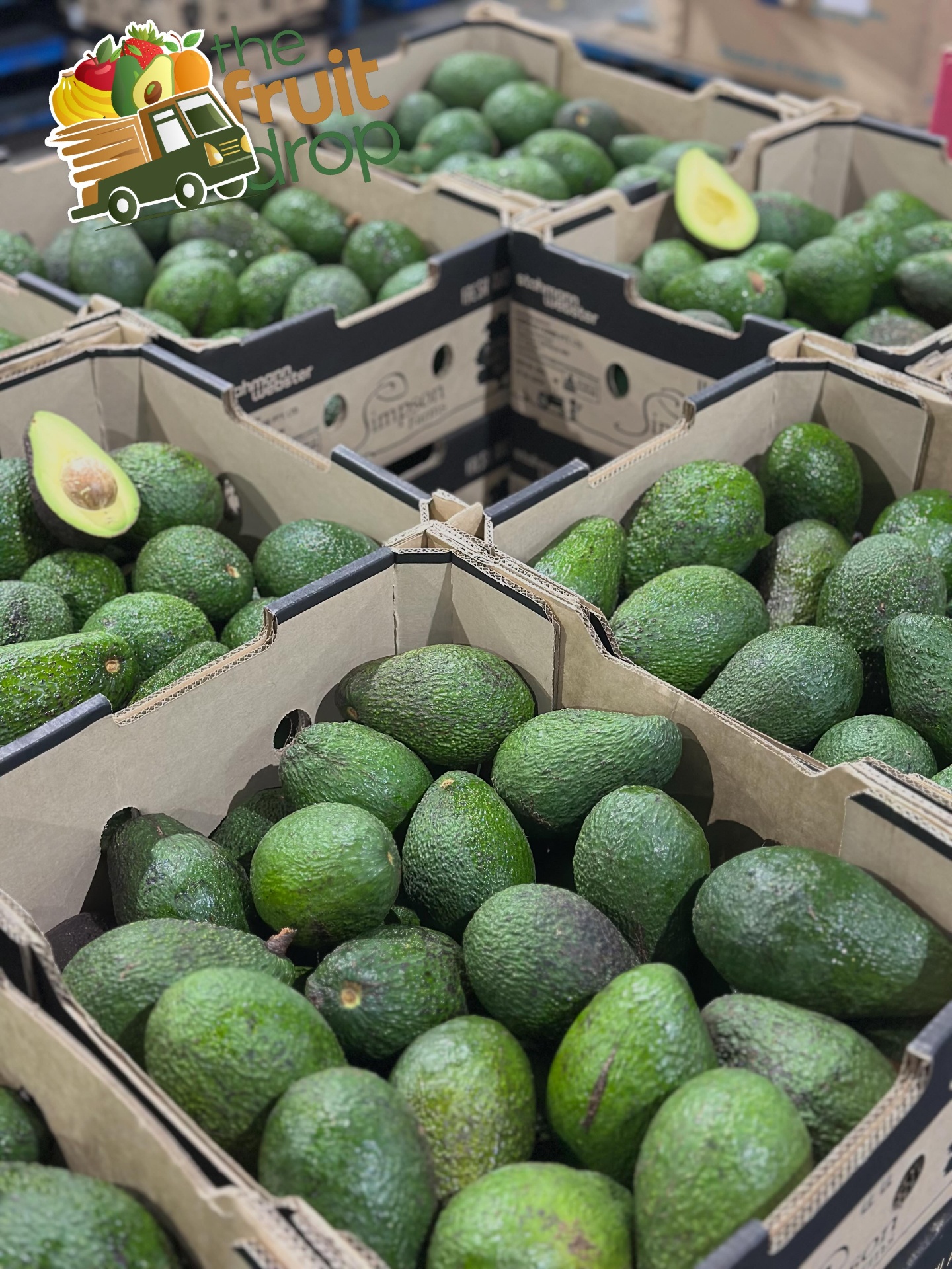Hass avocados in trays sorted for The Fruit Drop deliveries