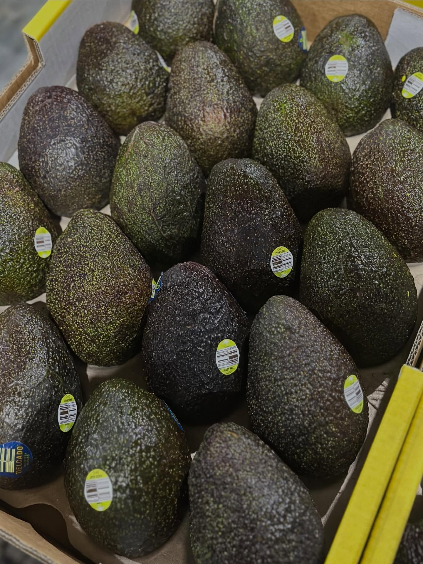 Tray of premium Hass avocados ready for delivery